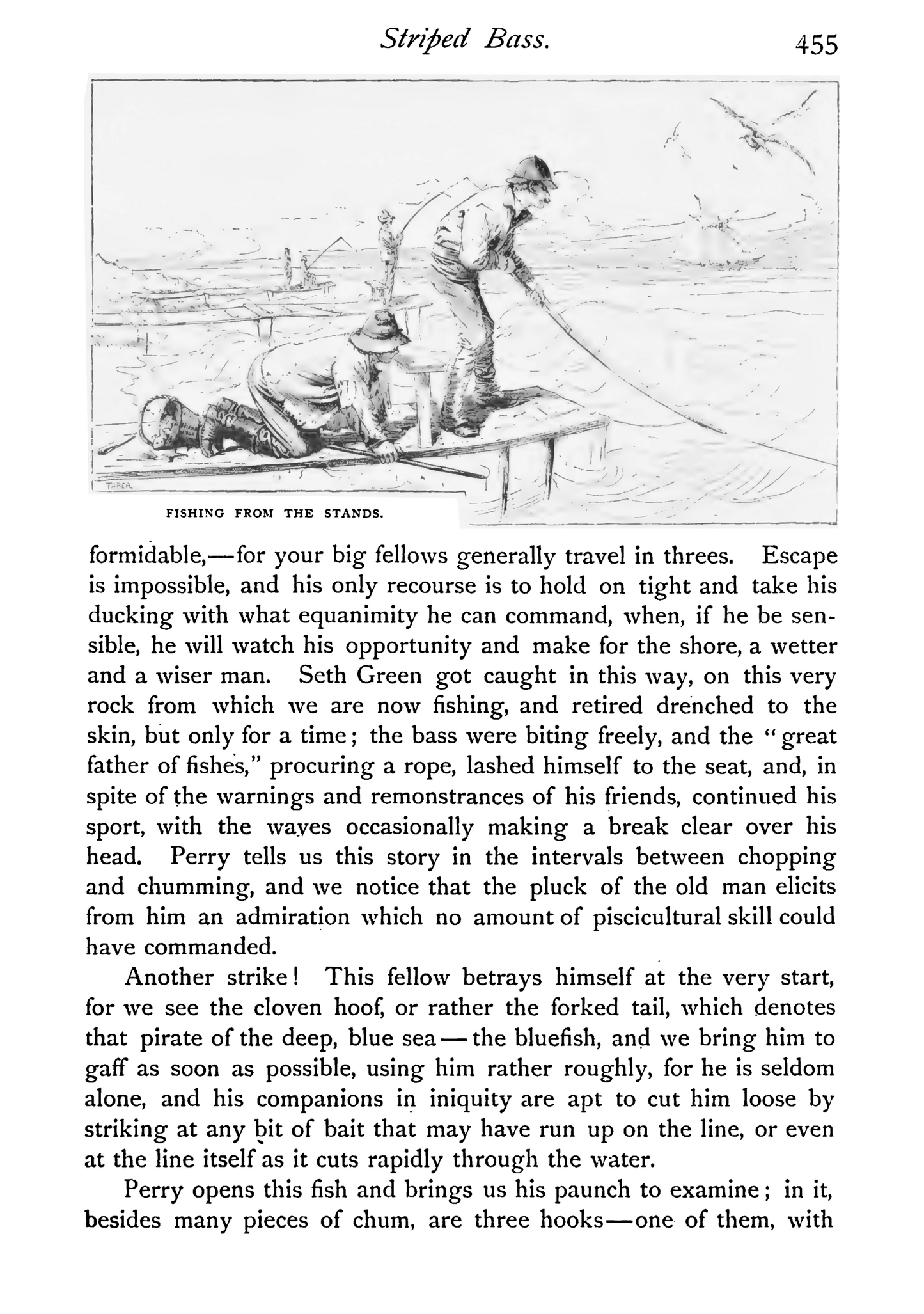 Sport with Gun and Rod in American Woods and Waters - Vol. II