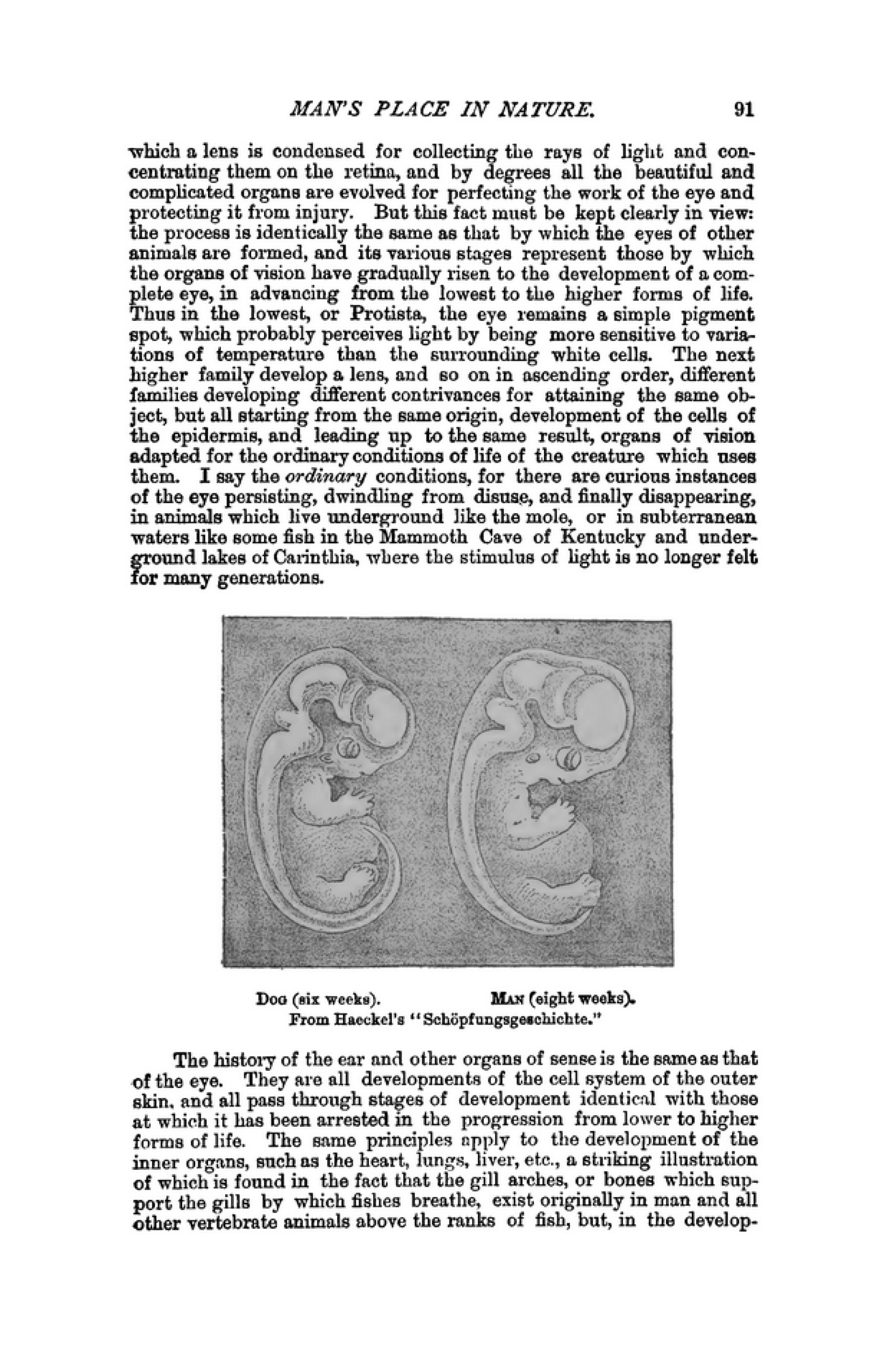 Modern Science and Modern Thought - Part I