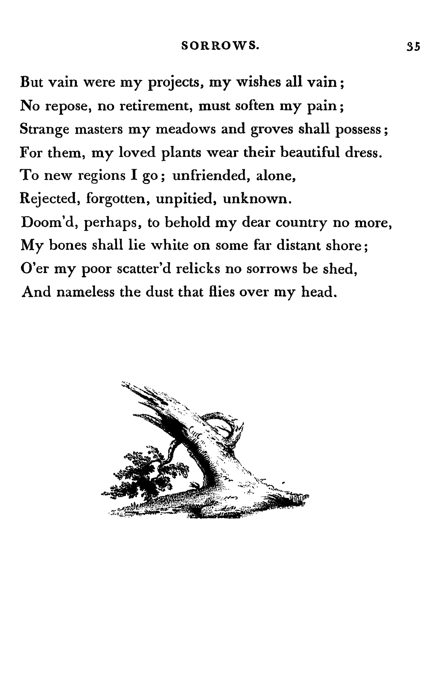 Sorrows - Sacred to the Memory of Penelope