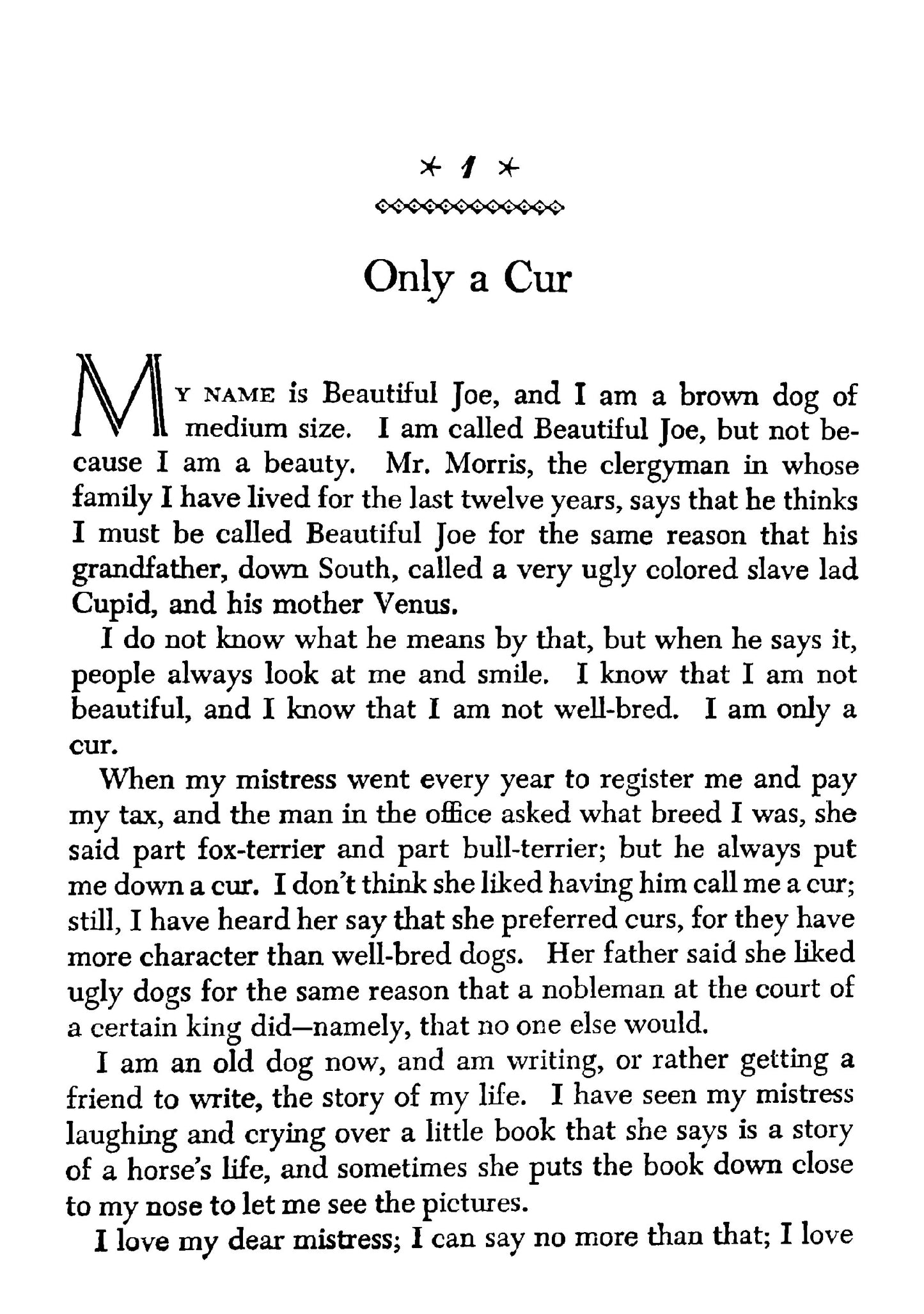 Beautiful Joe - Page 15