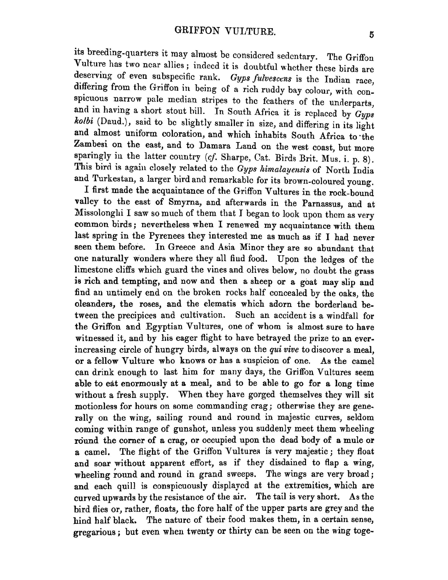 A History of British Birds - Page 33