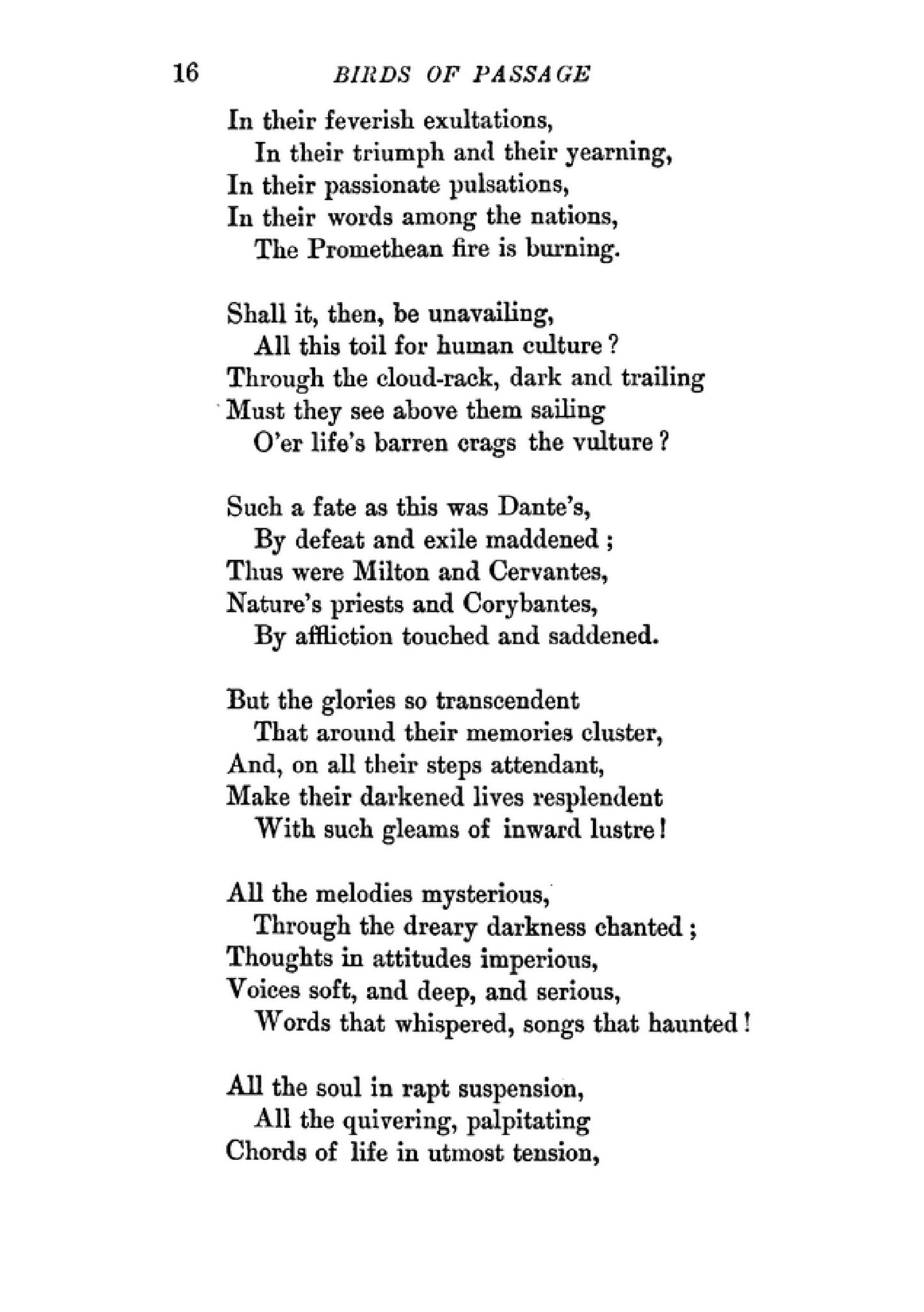 Birds of Passage - Page 20