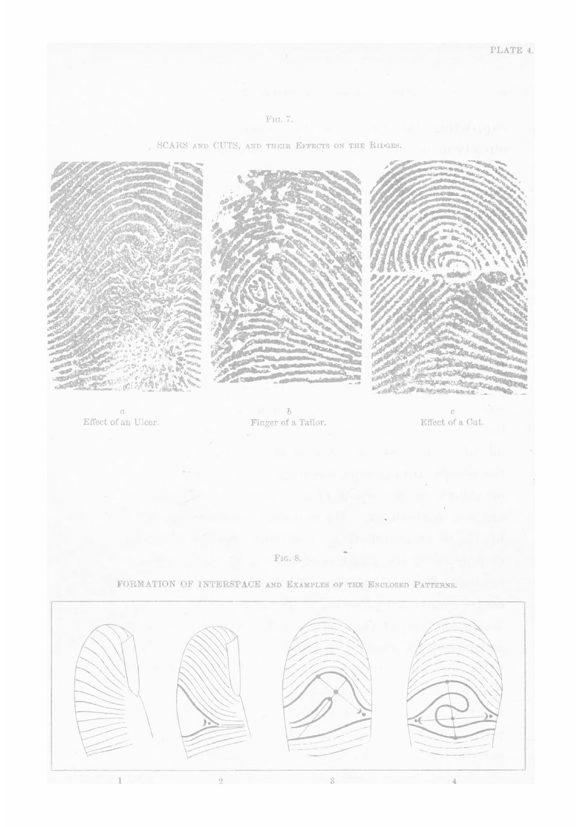 Finger Prints - Page 82
