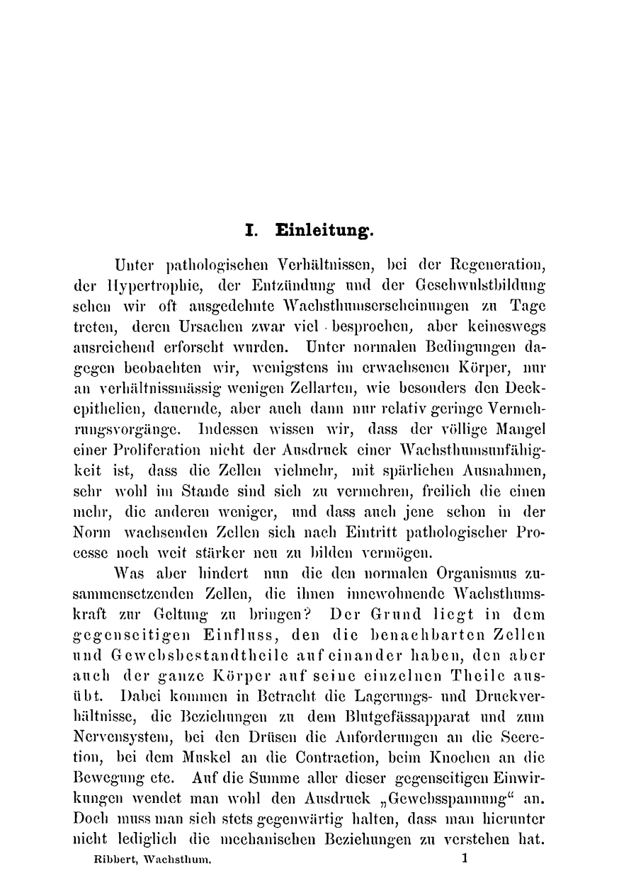 Das pathologische Wachstum der Gewebe - bei der Hypertrophie, Regeneration, Entzündung und Geschwulstbildung