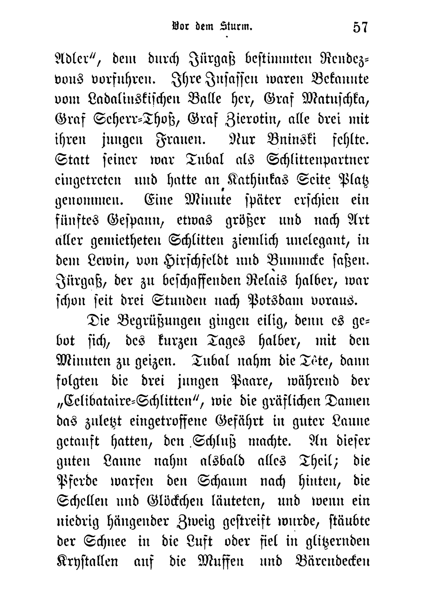 Gesammelte Romane und Novellen - Band IX