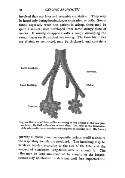 Chronic Bronchitis - Its Forms and Treatment