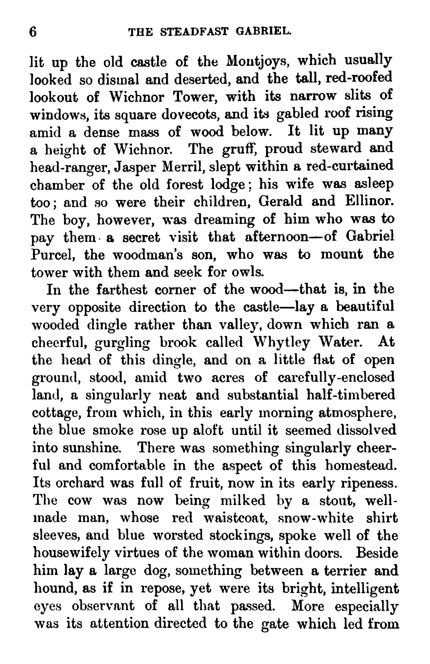 The Steadfast + Gabriel - A Tale of Wichnor Wood
