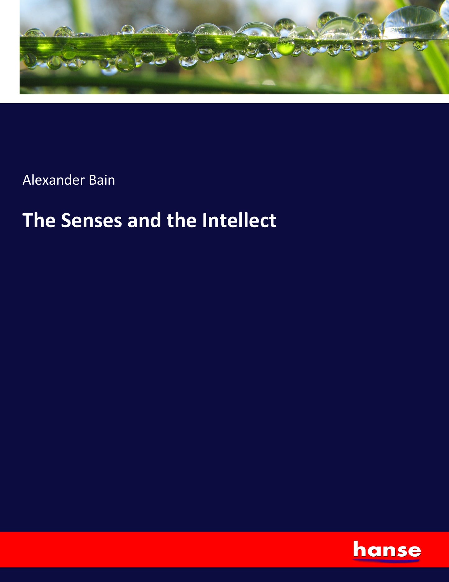 The Senses and the Intellect - Front Cover