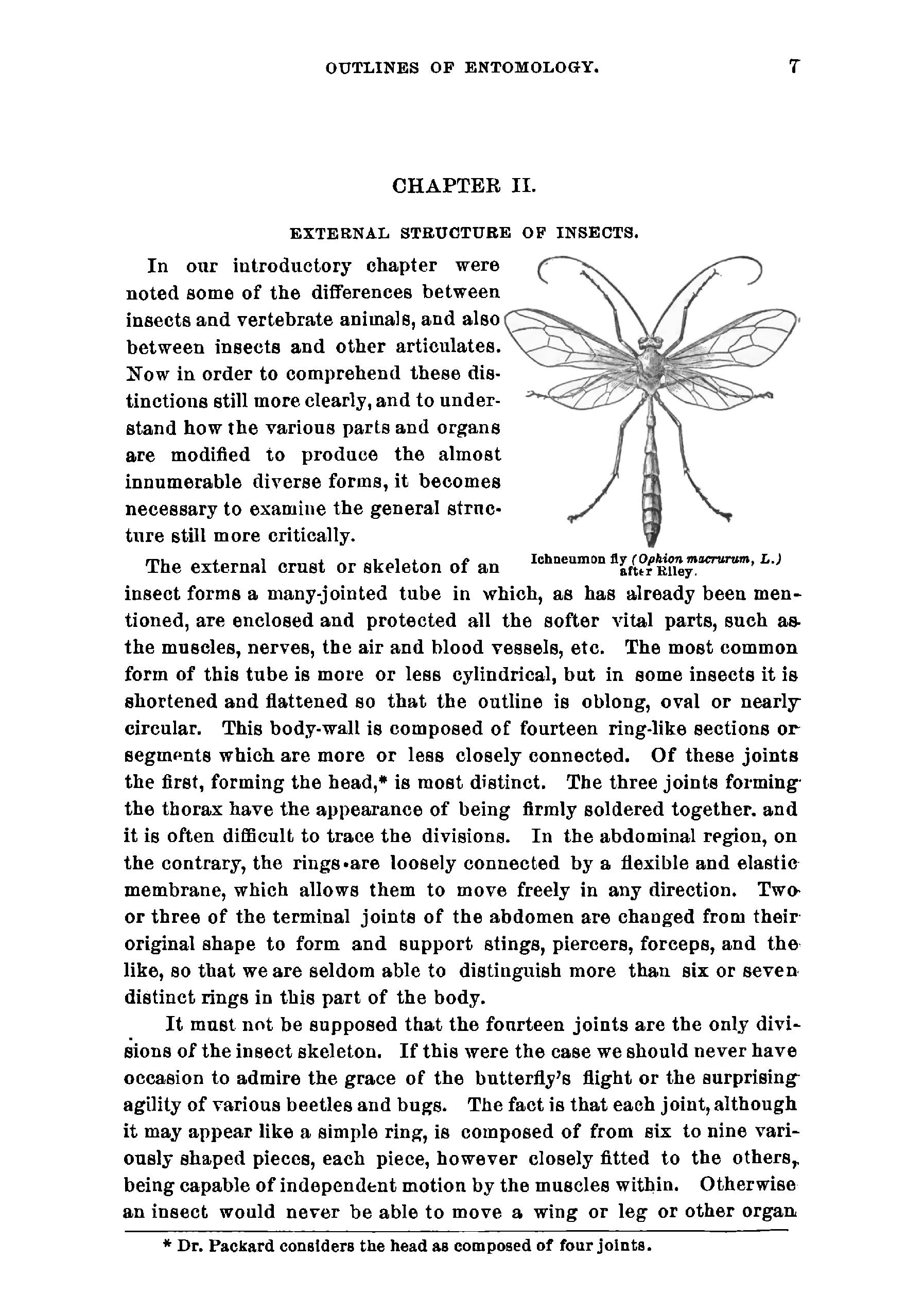 Outlines of entomology - Page 13