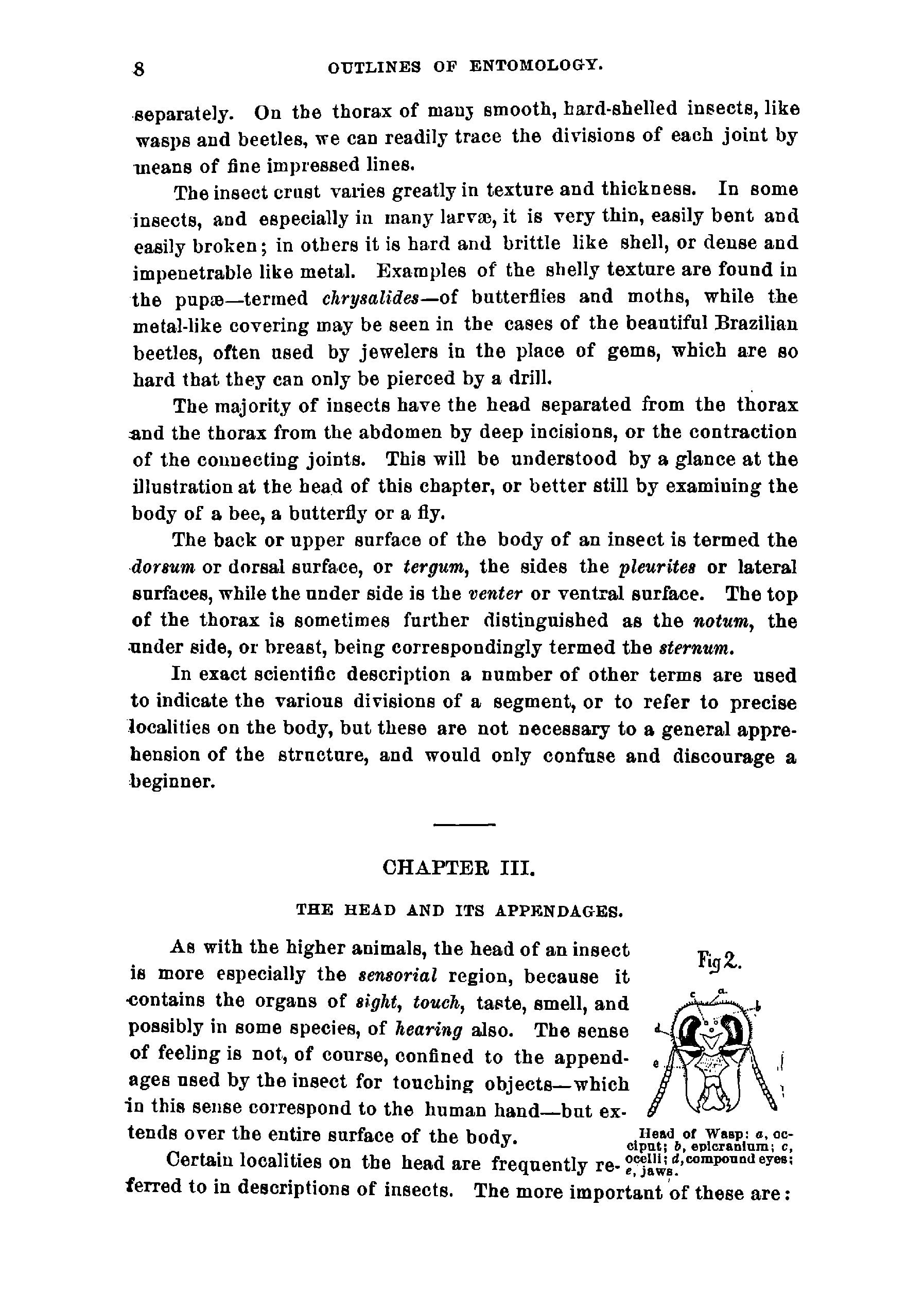 Outlines of entomology - Page 14
