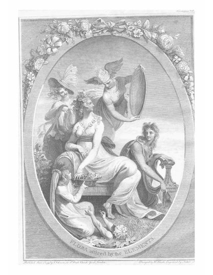 The Botanic Garden - Page 6