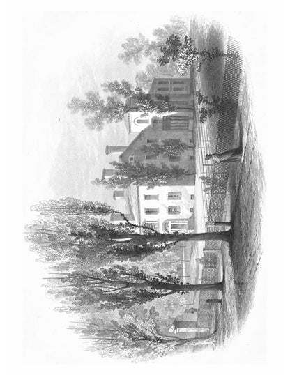 The Works of William H. Seward - Page 6