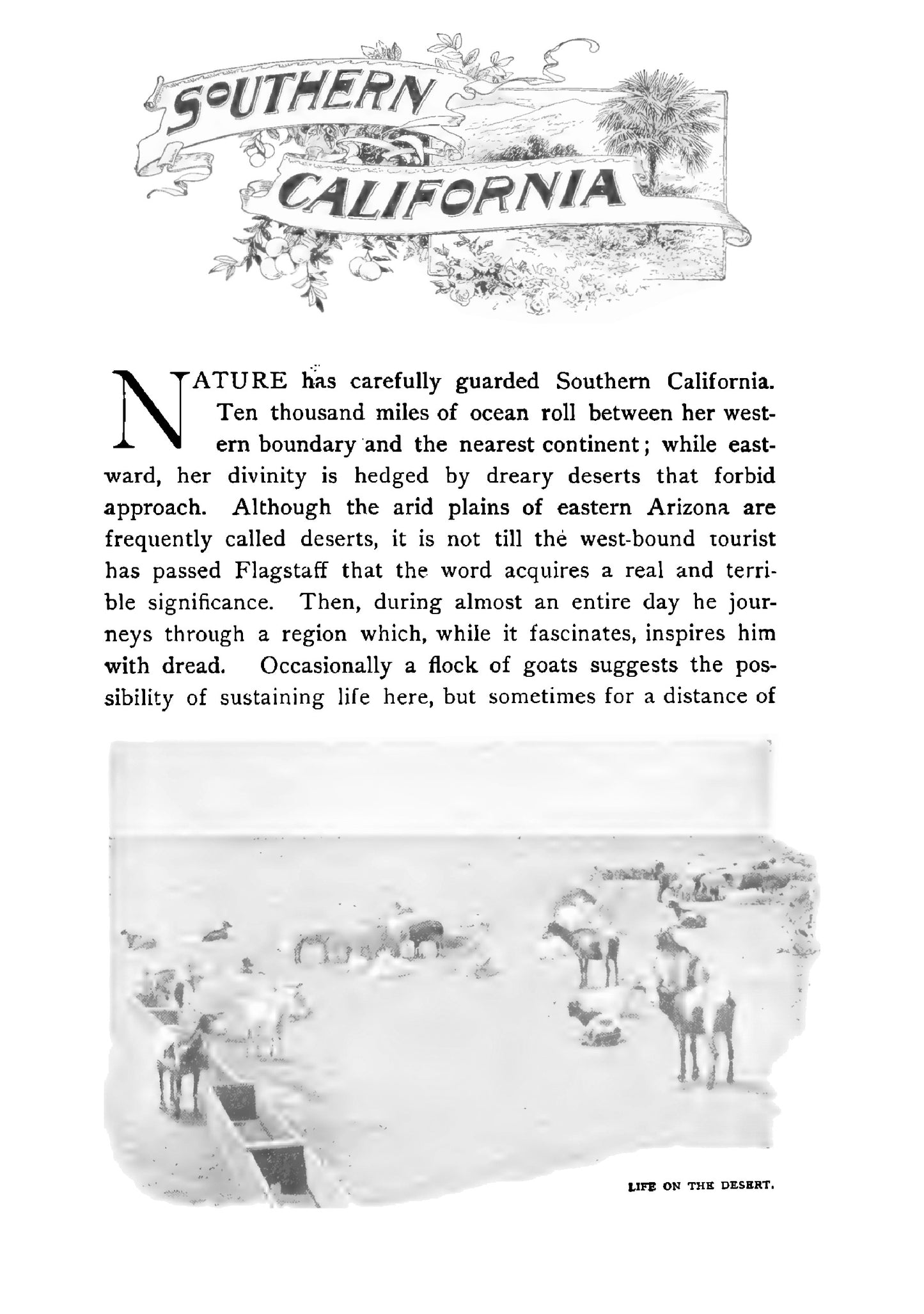John L. Stoddard's Lectures - Page 11