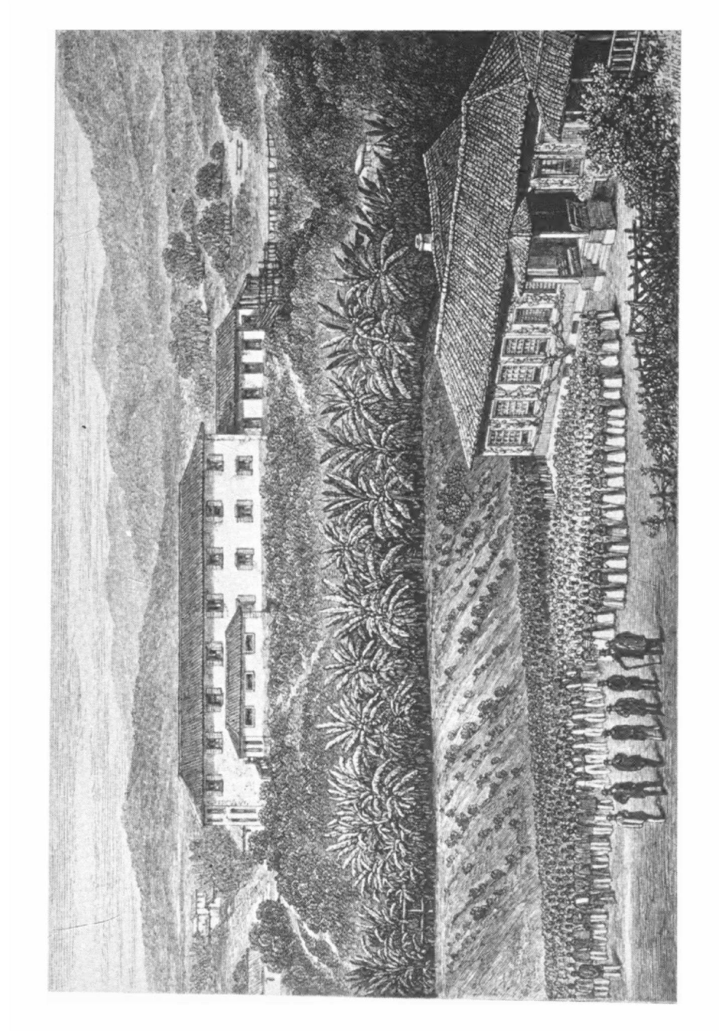 Explorations of the Highlands of the Brazil - Page 6