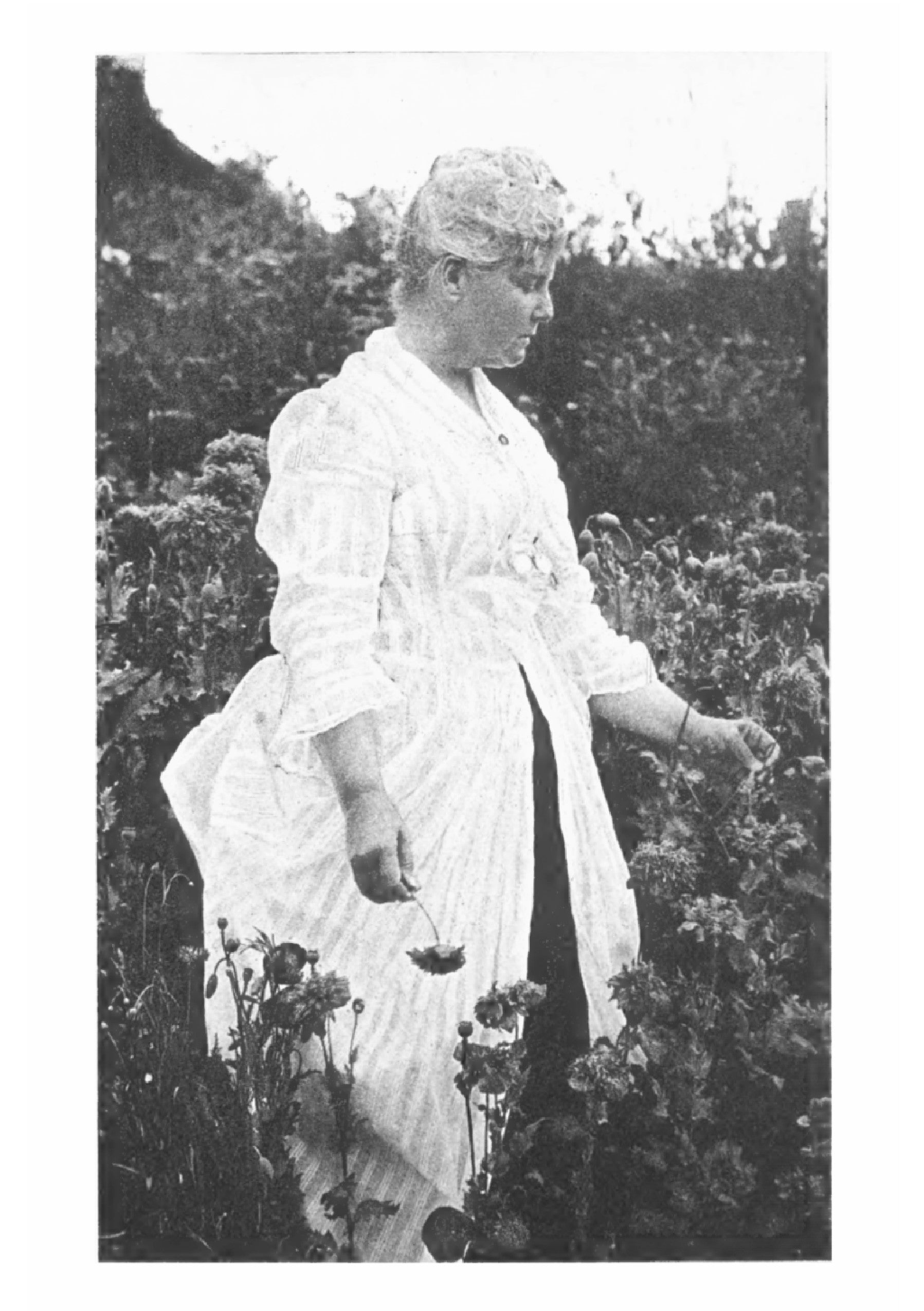 Letters of Celia Thaxter - Page 6