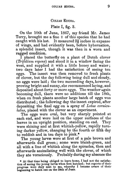 The Larvae of the British Butterflies and Moths - Page 27