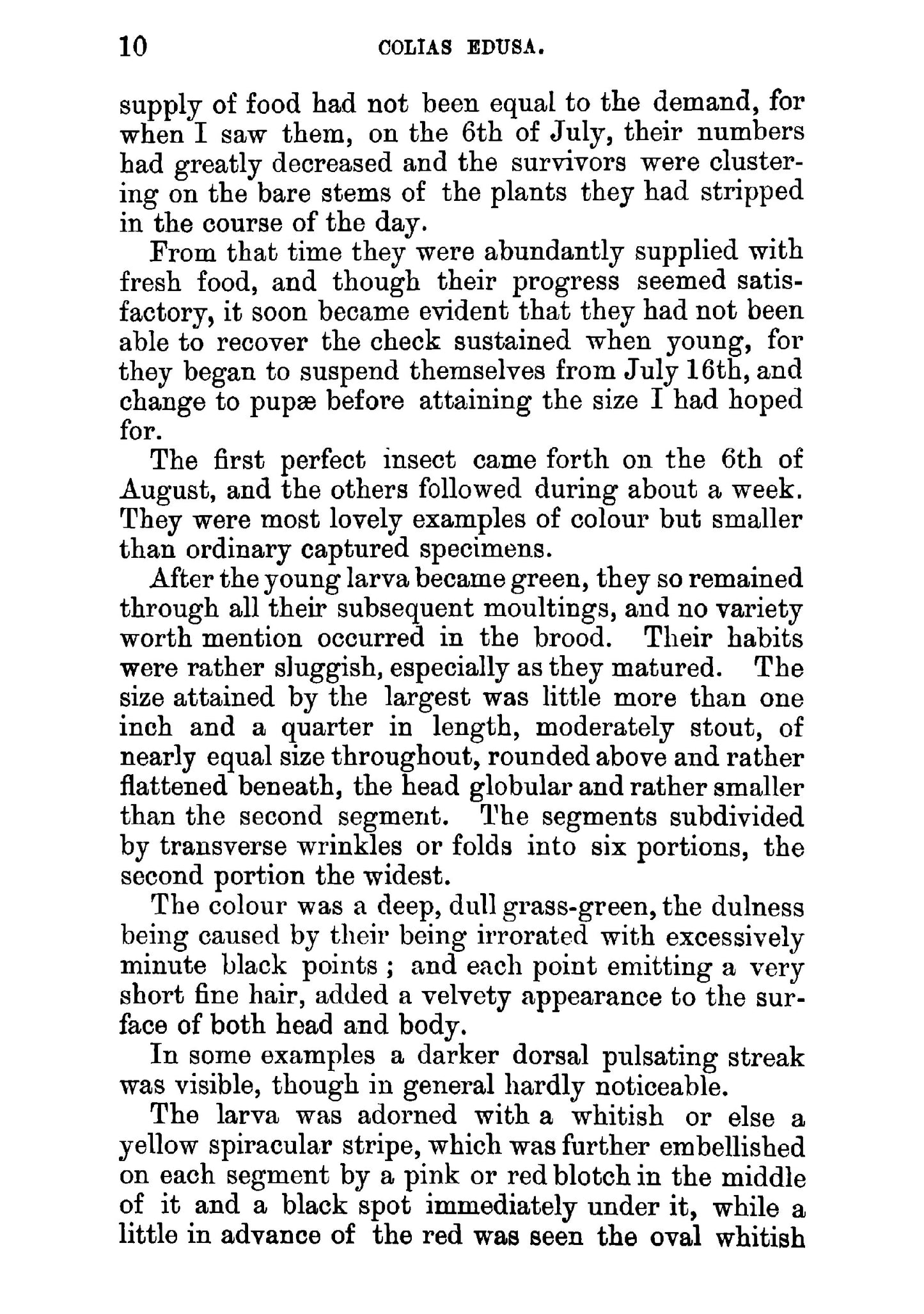 The Larvae of the British Butterflies and Moths - Page 28
