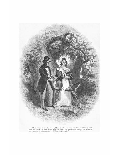 Home as Found, The Chainbearers, The Redskins - Page 6