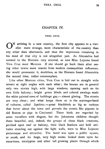 A Family Flight through Mexico - Page 37