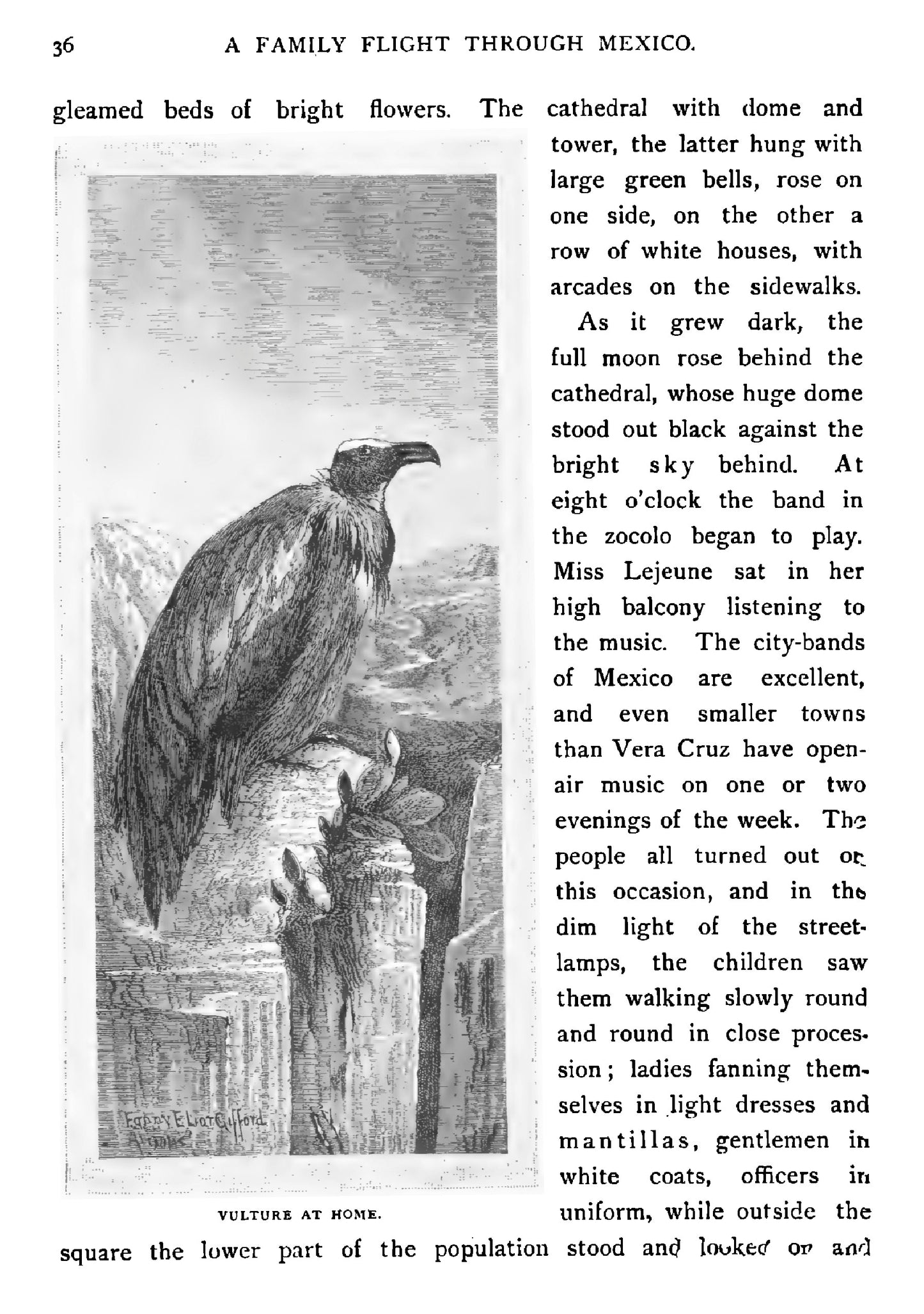 A Family Flight through Mexico - Page 38