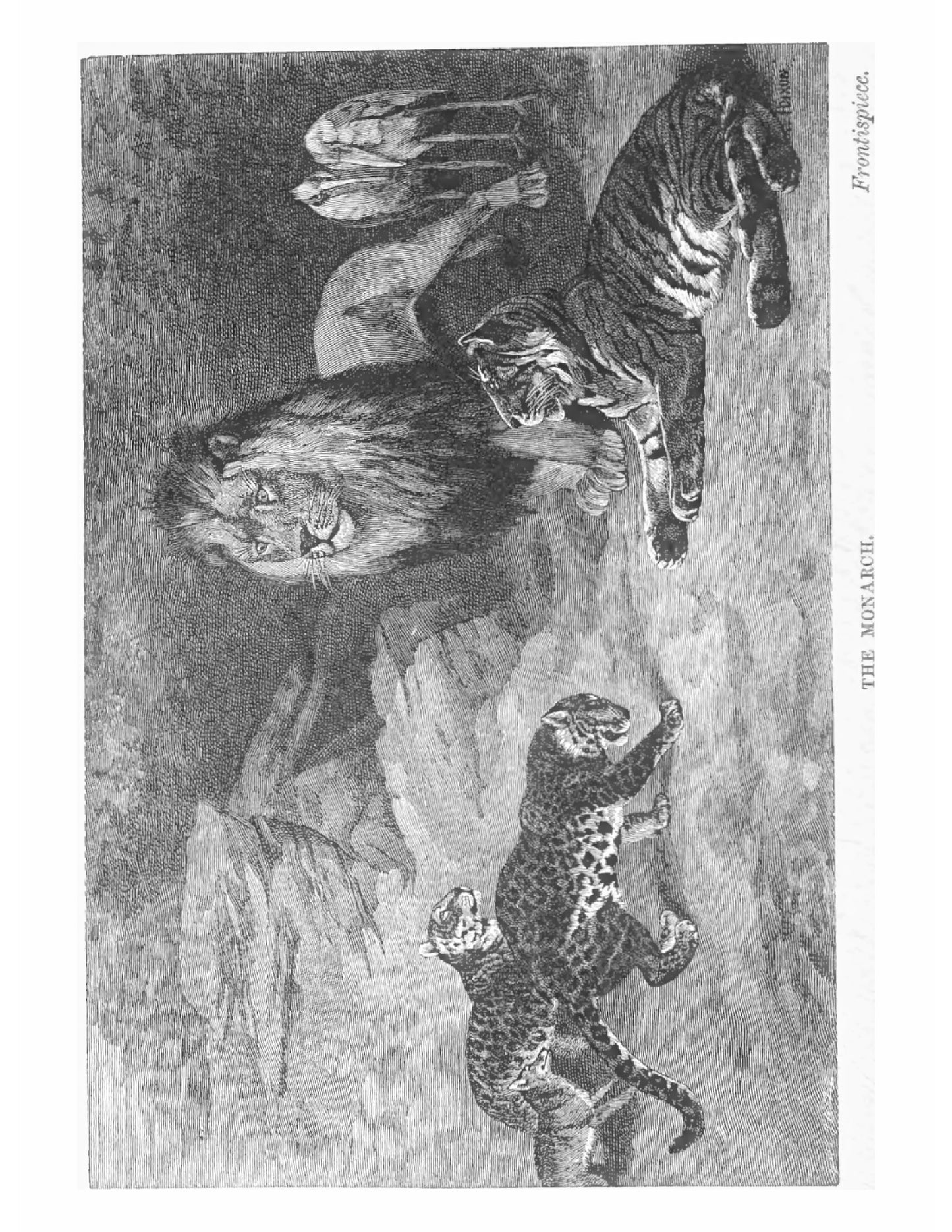 Wild Beasts and their Ways - Page 6