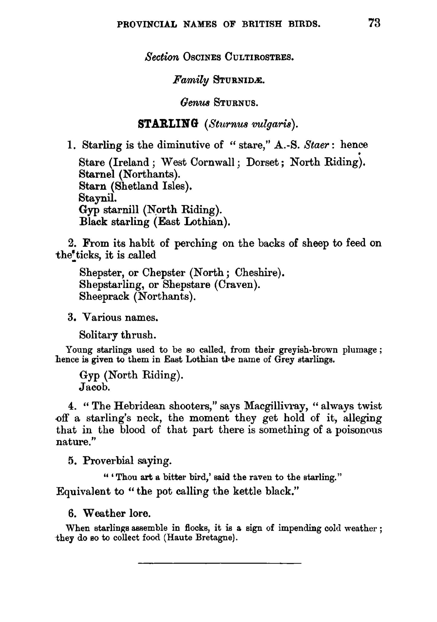 The Folk Lore and Provincial Names of British Birds - Page 85
