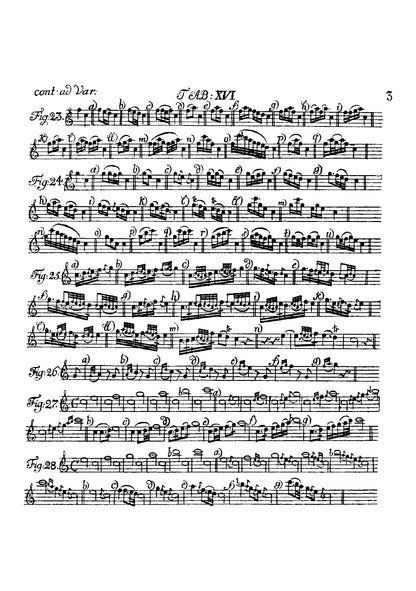 Versuch einer Anweisung die Flute Traversiere zu spielen - Page 387