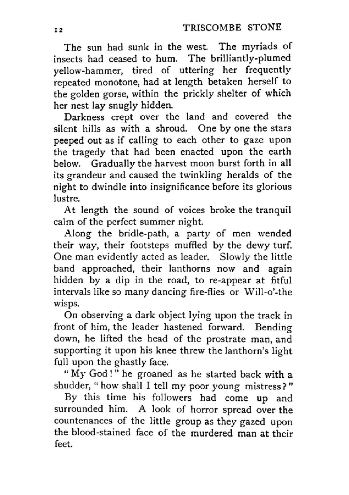 Triscombe Stone - Page 14