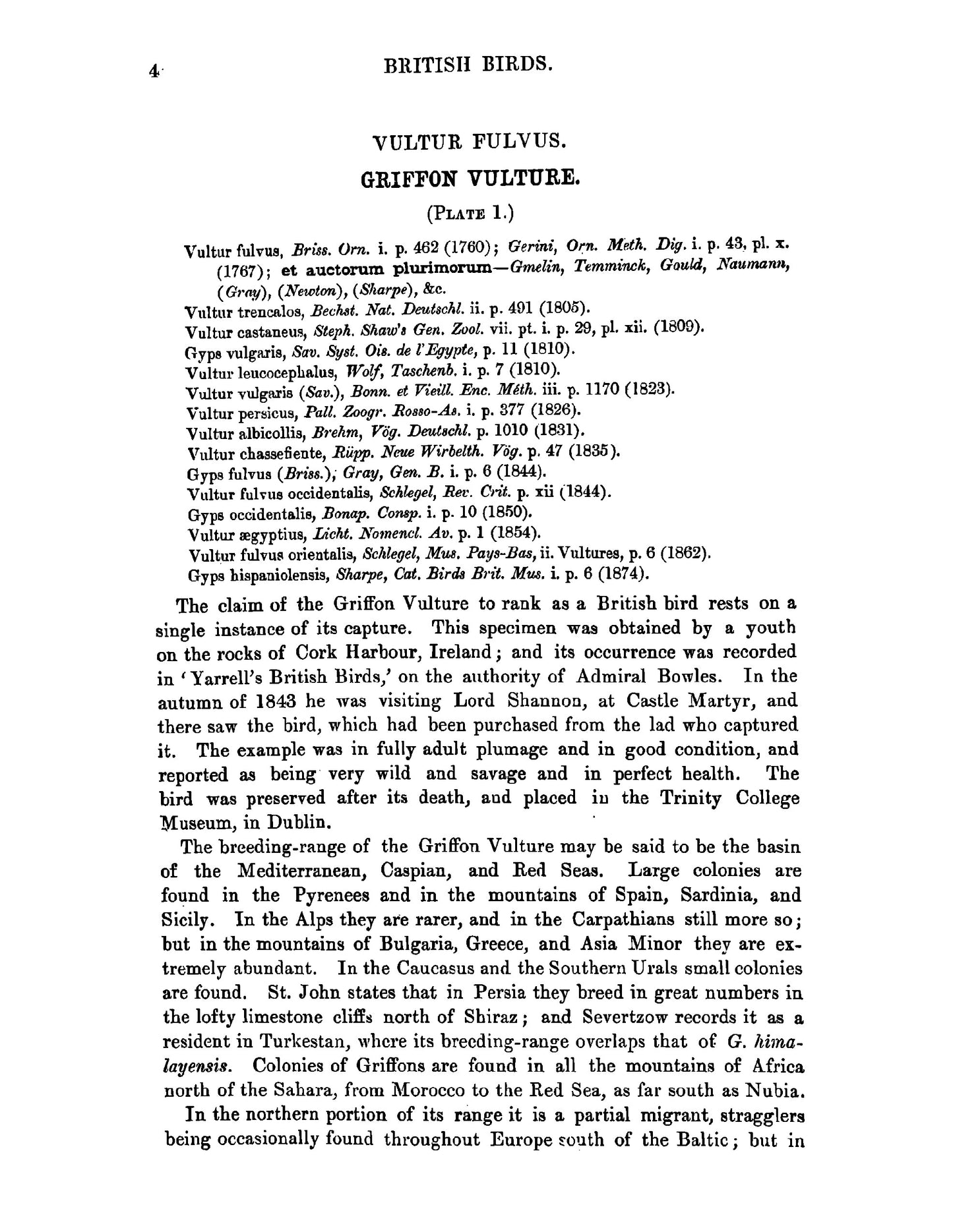 A History of British Birds - Page 32