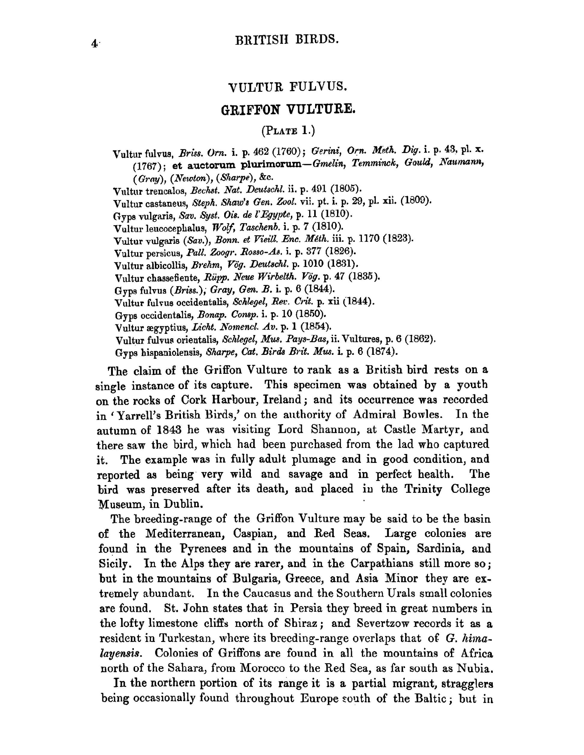 A History of British Birds - Page 32