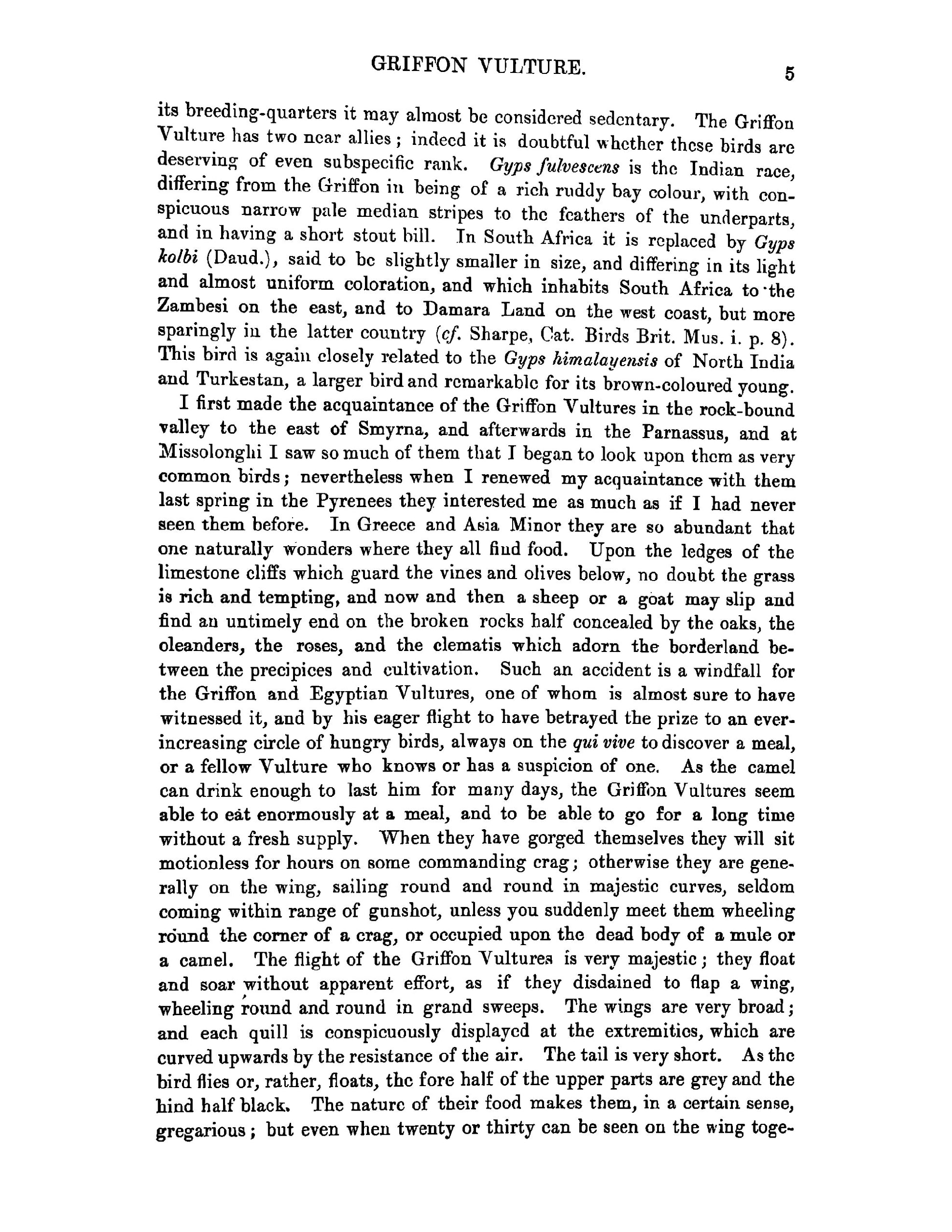 A History of British Birds - Page 33