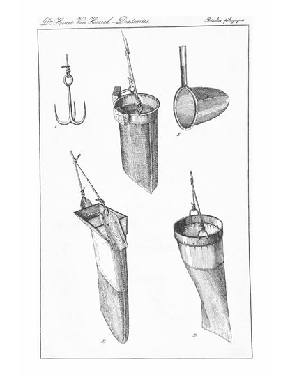 A Treatise on the Diatomaceae - Page 8