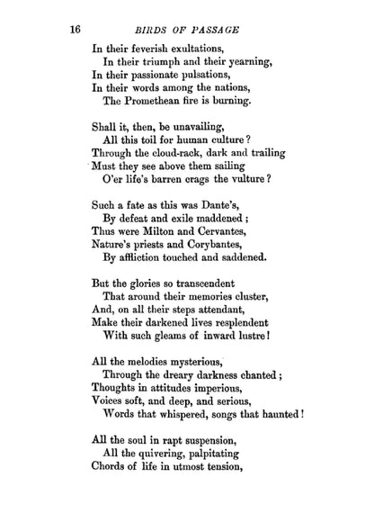 Birds of Passage - Page 20