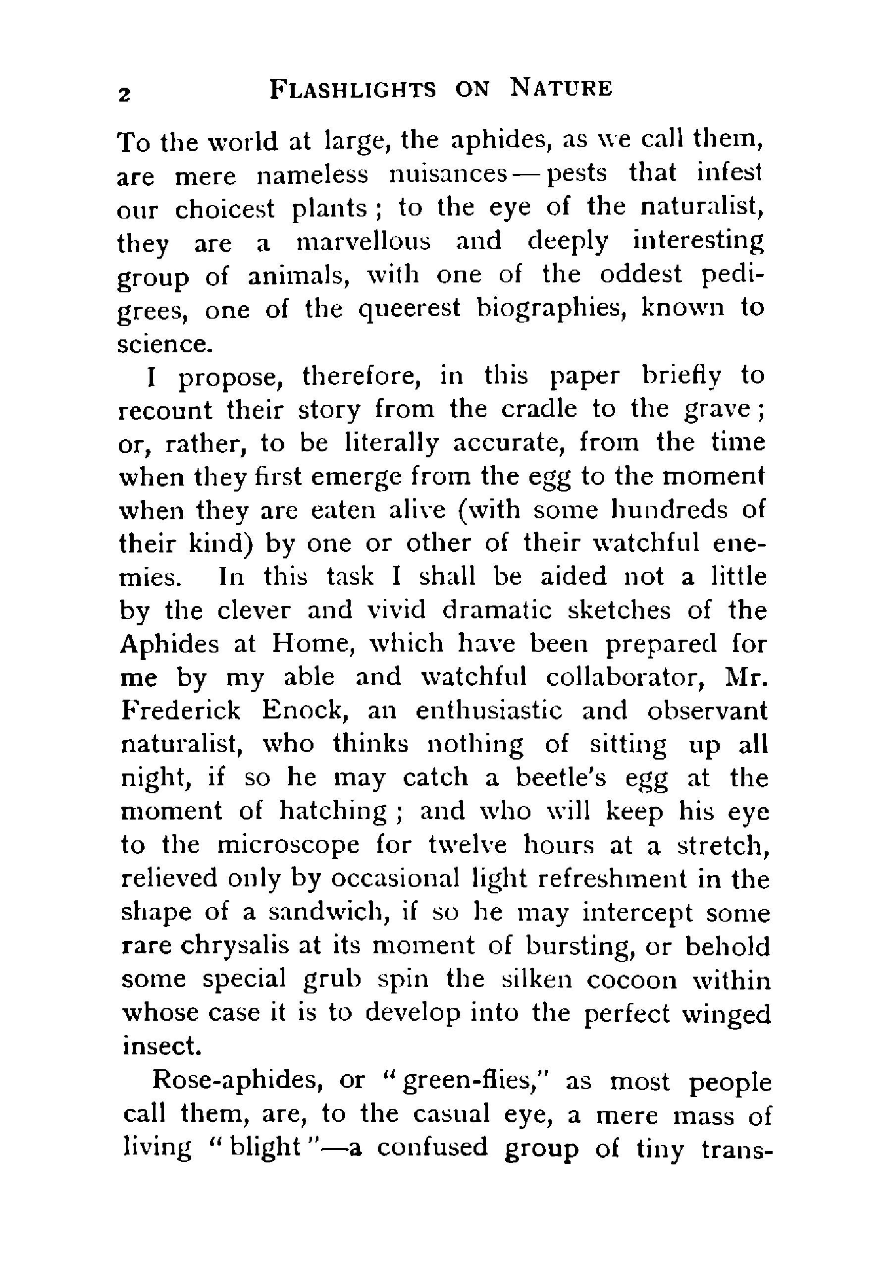 Flashlights on Nature - Page 12