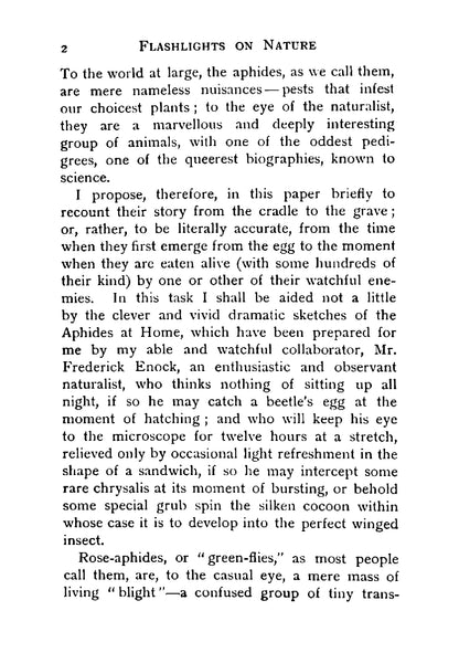Flashlights on Nature - Page 12