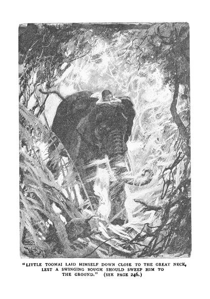 The Jungle Book - Page 6