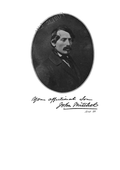 Life of John Mitchel - Page 6
