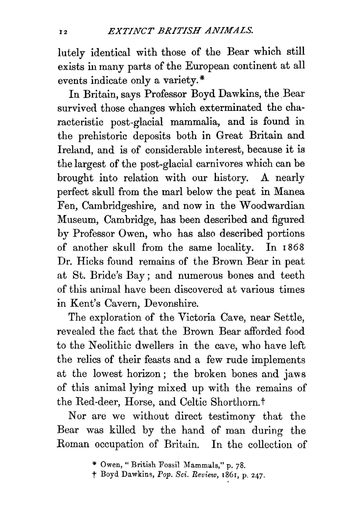 British Animals - Page 24