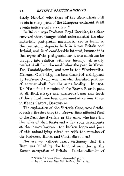 British Animals - Page 24