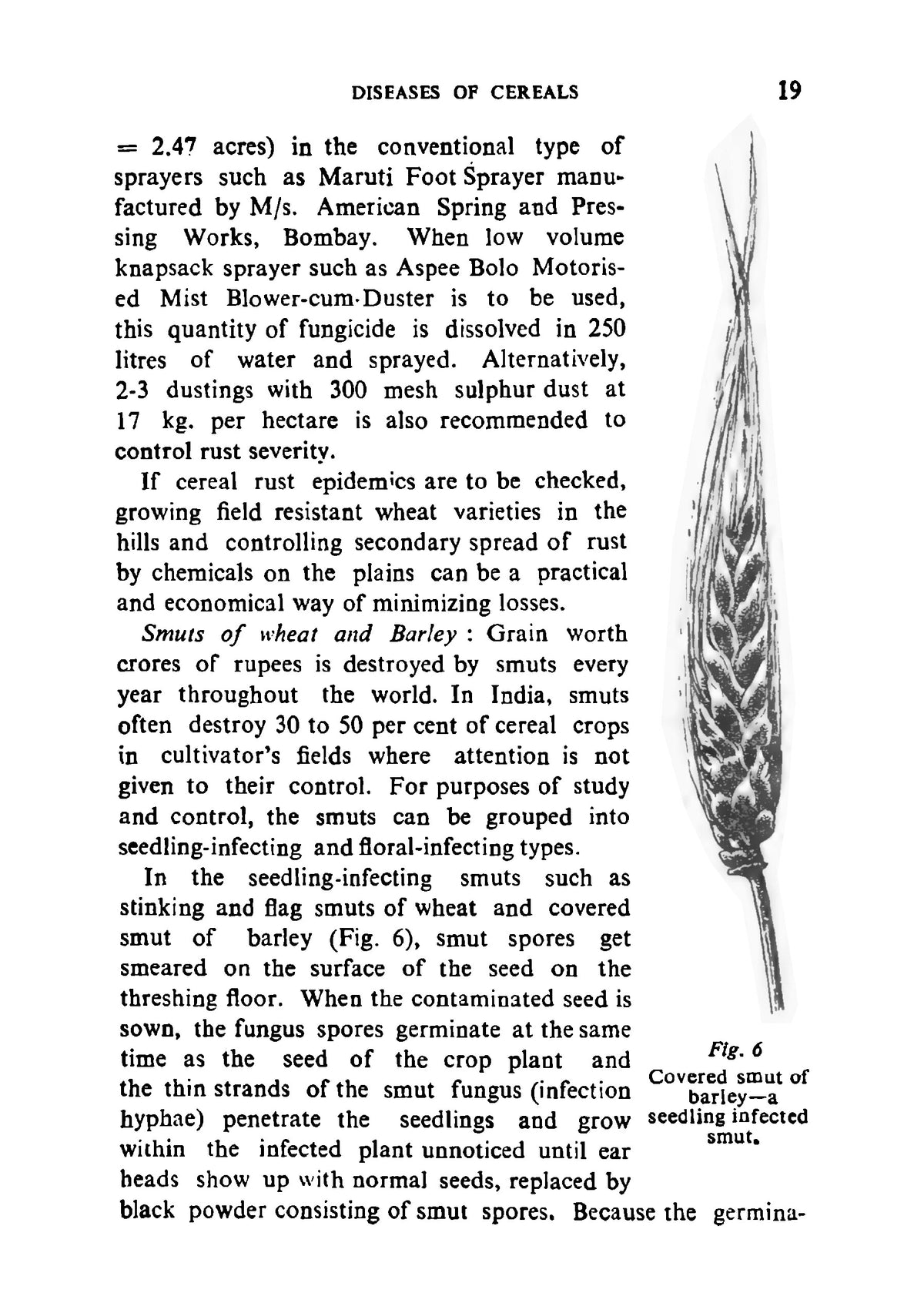 Plant Diseases - Page 33