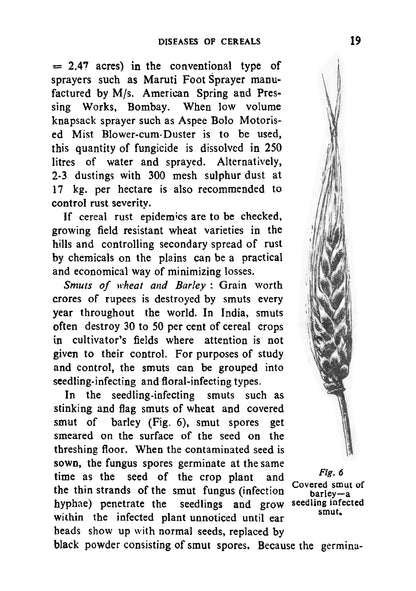 Plant Diseases - Page 33