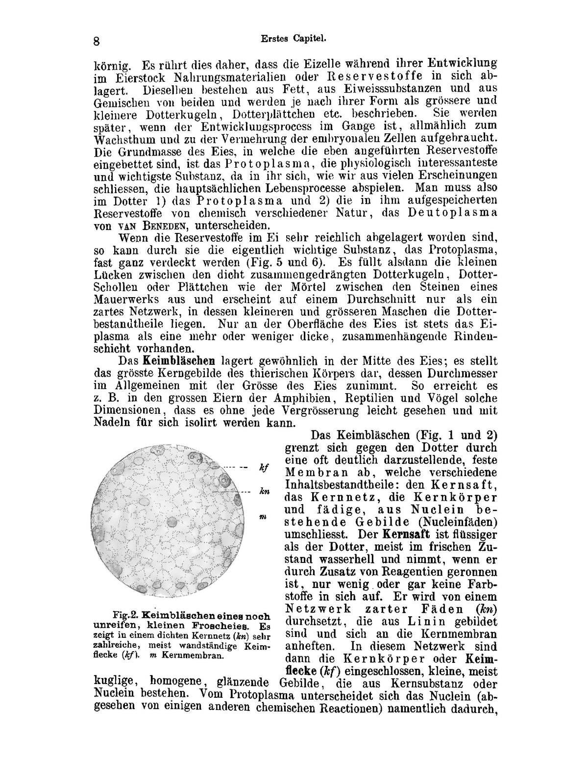 Lehrbuch der Entwicklungsgeschichte des Menschen und der Wirbelthiere - Page 28