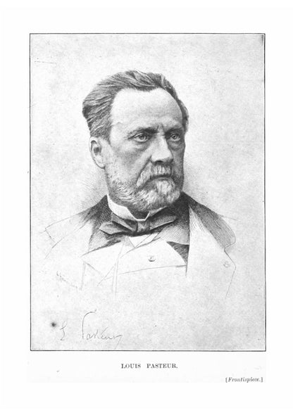 Pasteur - Page 6
