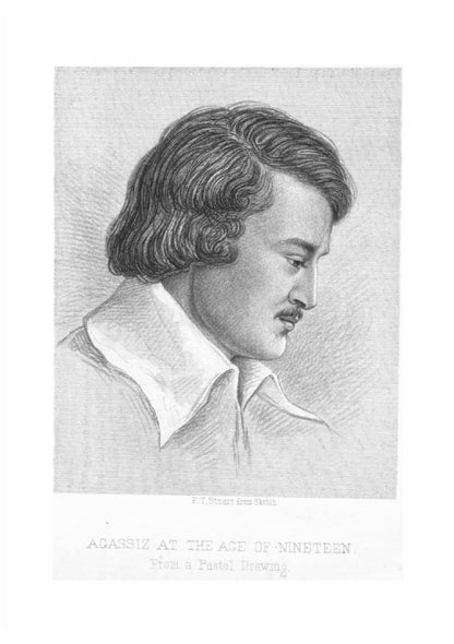 Louis Agassiz - Page 6
