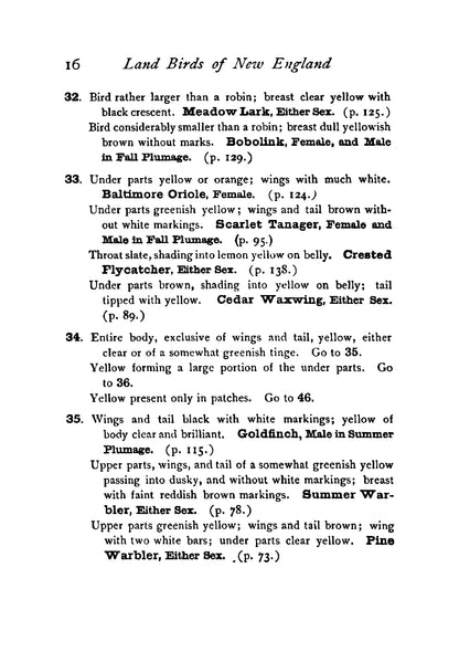 Pocket Guide to the Common Land Birds of New England - Page 32