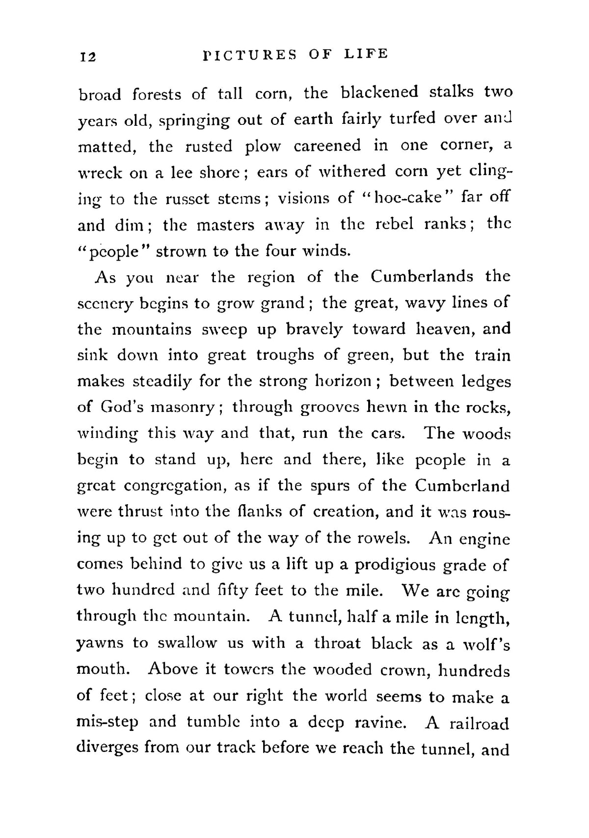 Pictures of Life in Camp and Field - Page 18