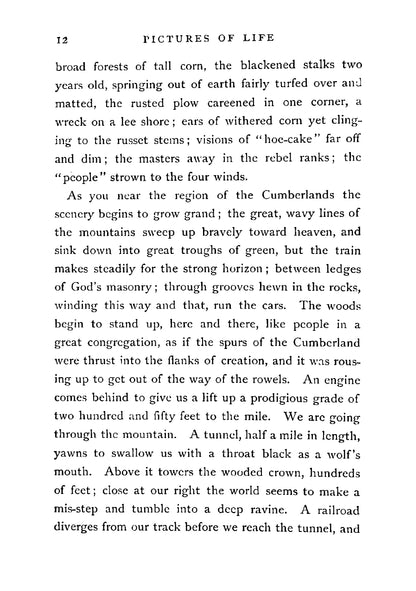 Pictures of Life in Camp and Field - Page 18