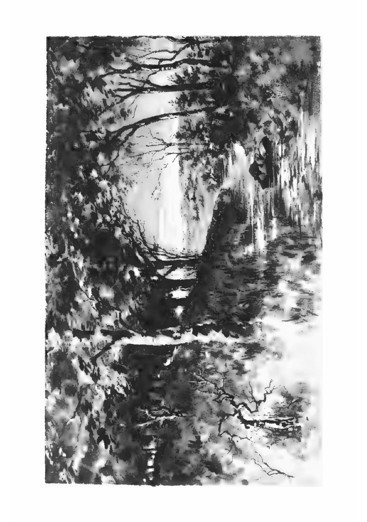 Salmagundi - Page 6