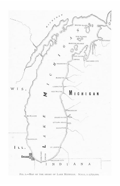 The Ecological Relations of the Vegetation on the Sand Dunes of Lake Michigan - Page 11