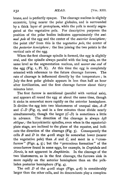 The Early Development of Marine Annelids - Page 12